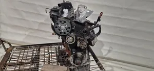 Volkswagen Tiguan Engine CBA