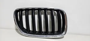 BMW X5 E53 Atrapa chłodnicy / Grill 51137113738