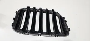 BMW X5 E53 Atrapa chłodnicy / Grill 51137113737