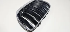 BMW X5 E53 Atrapa chłodnicy / Grill 51137113737