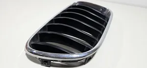 BMW X3 F25 Front grill 51117210726