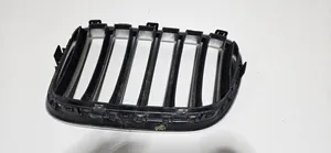 BMW X3 F25 Front grill 51117210726