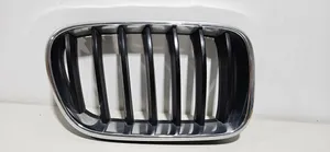 BMW X3 F25 Front grill 51117210726