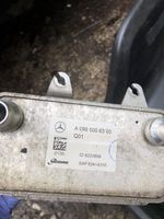 Mercedes-Benz E W213 Vaihteistoöljyn jäähdytin (käytetyt) A0995006300