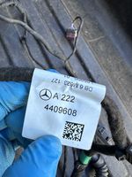 Mercedes-Benz S W222 Wiązka przewodów drzwi tylnych A0009824509