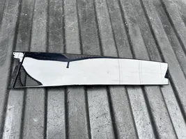 Citroen C3 Aircross Rivestimento modanatura del vetro della portiera anteriore 39136477