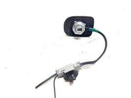 Nissan Juke I F15 Radion antenni 