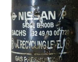Nissan Qashqai Stoßdämpfer Federbein 54302BR00B