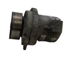 Mitsubishi ASX Napinacz paska alternatora 382405110003