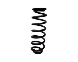 Volkswagen Jetta VI Rear coil spring 