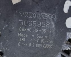 Volvo V60 Generatore/alternatore 30659580