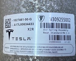 Tesla Model X Amortiguador/suspensión neumática 102746100G