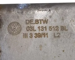 Volkswagen PASSAT B7 EGR vožtuvas 0280751016
