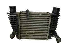 Nissan Juke I F15 Chłodnica powietrza doładowującego / Intercooler 14461EM00A