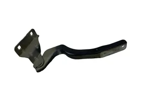 Nissan Qashqai Cerniere del vano motore/cofano JDLES03