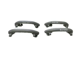 Volkswagen Tiguan A set of handles for the ceiling 1K0857607N