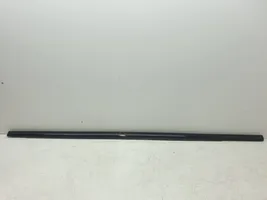 Chrysler Pacifica Door glass trim 