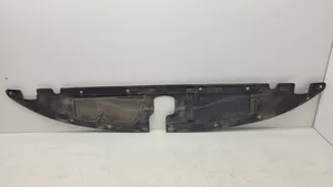 Chrysler Pacifica Moldura embellecedora del gancho del capó/tapa del motor 93785W