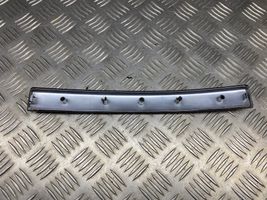 Citroen C2 Panel trim 