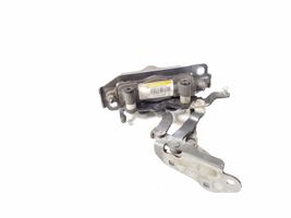 Mercedes-Benz E C207 W207 Cerniere del vano motore/cofano A2048800128