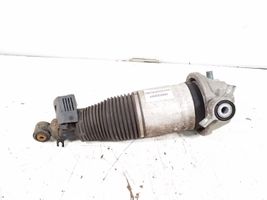 Porsche Cayenne (9PA) Amortisseur de suspension pneumatique 7L5616020