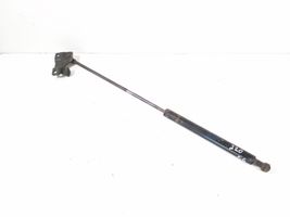 Land Rover Range Rover L322 Ammortizzatore portellone posteriore/bagagliaio XH42406A10AA