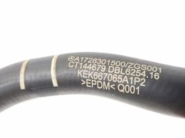 Mercedes-Benz SLK R172 Tube d'admission d'air A1728301500