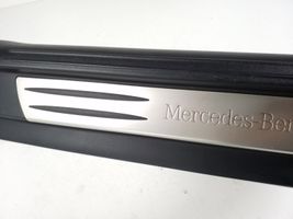 Mercedes-Benz SLK R171 Moldura protectora del borde delantero A1716800135