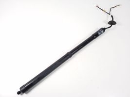 Infiniti FX Tailgate strut 905603FY0A