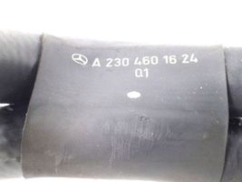 Mercedes-Benz SL R230 Ilmanoton letku A2304601624