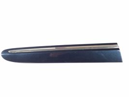 Mercedes-Benz CLK A209 C209 Rivestimento parafango (modanatura) A2096902662