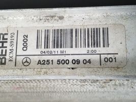 Mercedes-Benz ML W164 Chłodnica A2515000603