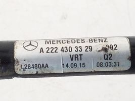 Mercedes-Benz S W222 Žarna (-os)/ vamzdis (-džiai) A2224303329