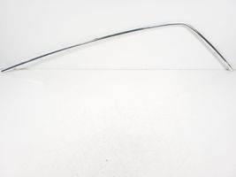 Volkswagen Phaeton Rear door trim (molding) 