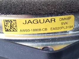Jaguar XJ X351 Głośnik drzwi przednich AW9318808CB