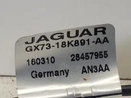 Jaguar XE Pystyantennivahvistin GX7318K891AA