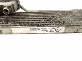 Mercedes-Benz CL C216 Vaihteistoöljyn jäähdytin A2215003100