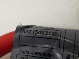 Mercedes-Benz CL C216 Câble de batterie positif A2215403110