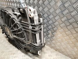 Tesla Model X Dzesēšanas šķidruma radiators 1031401-00-G