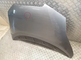 Nissan Leaf I (ZE0) Pokrywa przednia / Maska silnika F51003NLMA