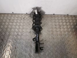 Jeep Compass Rear shock absorber/damper 