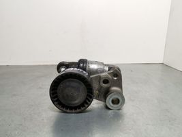 Hyundai Santa Fe Tendicinghia generatore/alternatore 