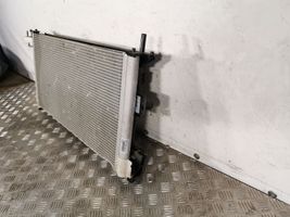 Ford C-MAX II Kit Radiateur 0130308447