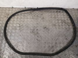 Hyundai Santa Fe Rear door rubber seal (on body) 