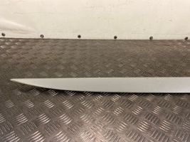 Honda Civic IX Rivestimento della portiera anteriore (modanatura) 75312TV0E000