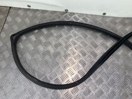 Hyundai Ioniq Rubber seal rear door 