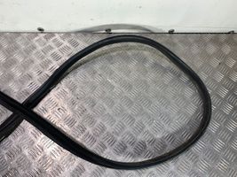 Hyundai Ioniq Rubber seal rear door 