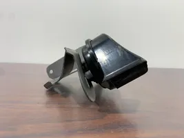 Cupra Formentor Horn signal 3B0951223E