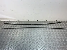 Toyota Prius (XW50) Roof trim bar molding cover 