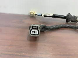 Toyota RAV 4 (XA50) Câblage / faisceau de câbles 890C042020